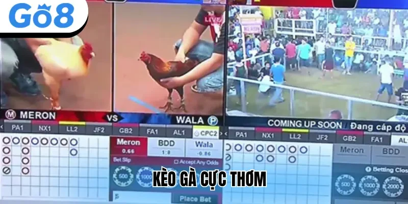 Kèo gà cực thơm